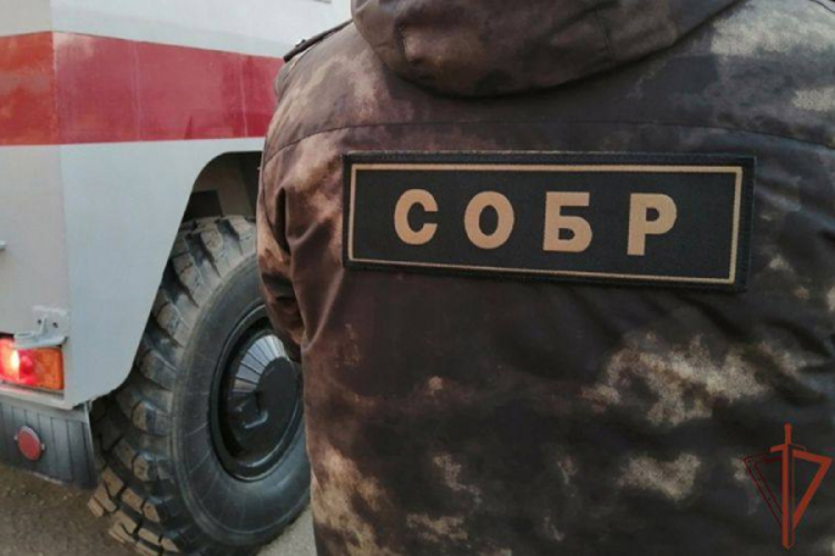 Незаконная добыча песка в Омской области пресечена при силовой поддержке СОБР Росгвардии