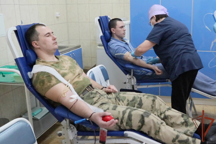 Акция Росгвардии «От сердца к сердцу» прошла в Пятигорске