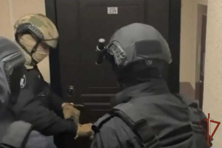 При силовой поддержке СОБР Росгвардии в Санкт-Петербурге задержаны подозреваемые в кибермошенничестве (видео)