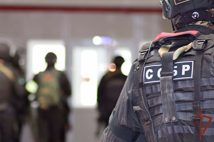При содействии СОБР Росгвардии пресечена деятельность подпольного казино в Благовещенске