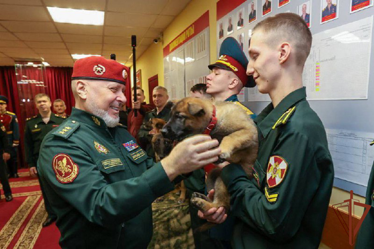 В Пермском военном институте Росгвардии впервые прошла торжественная церемония вручения щенков курсантам-кинологам (видео)