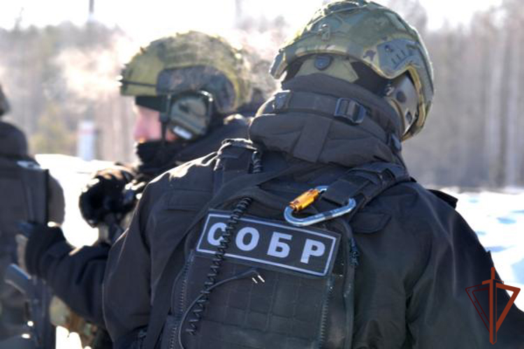 В Зауралье при содействии СОБР Росгвардии задержан подозреваемый в получении взятки в особо крупном размере