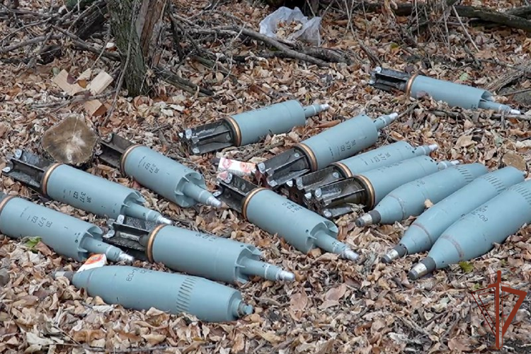 Военнослужащие Росгвардии и сотрудники ФСБ России пресекли незаконный оборот боеприпасов в ДНР (видео)