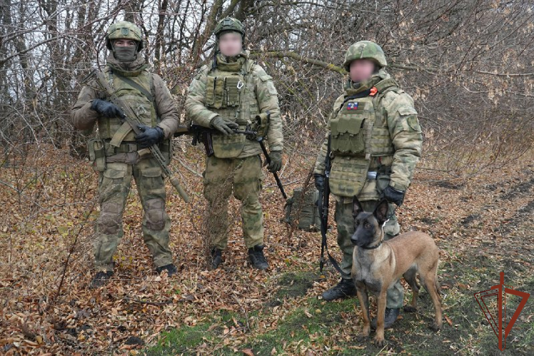 Военнослужащие Росгвардии и сотрудники ФСБ России пресекли незаконный оборот боеприпасов в ДНР (видео)