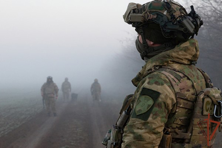 Росгвардейцы обнаружили схрон с боеприпасами в Херсонской области