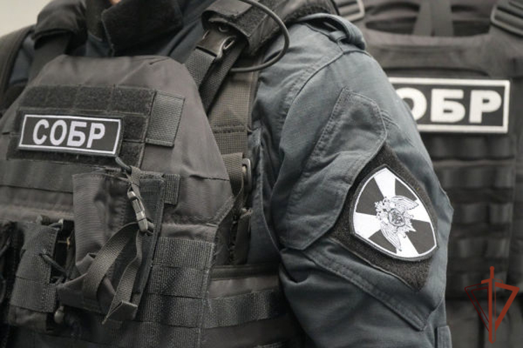 Подозреваемые в мошенничестве задержаны в Твери при силовой поддержке СОБР Росгвардии (видео)