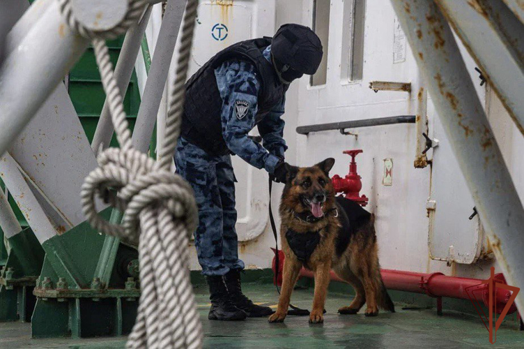 Служебная собака Росгвардии из Приморья стала одним из победителей международной премии «Мой ласковый и нужный зверь»