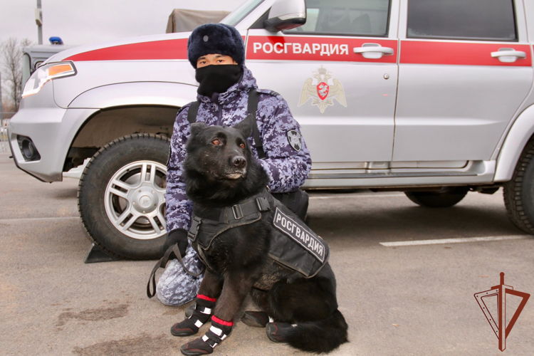 В Санкт-Петербурге росгвардейцы обеспечили безопасность матча КХЛ