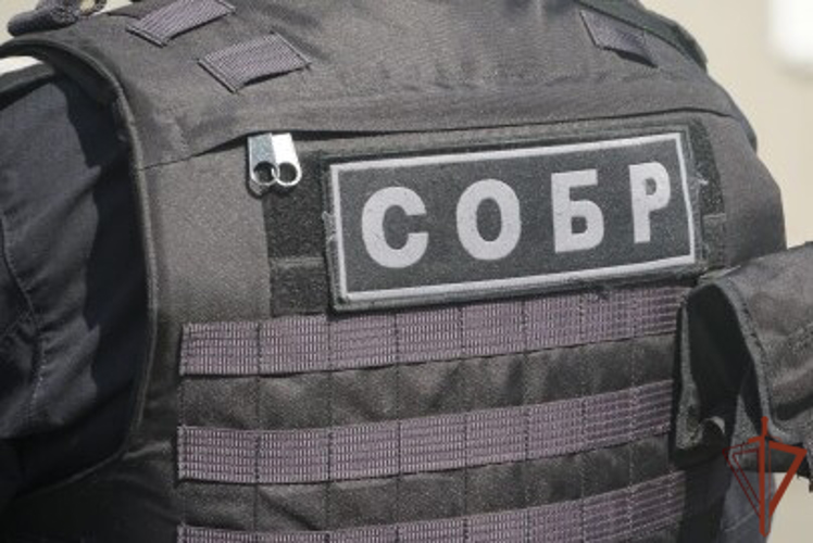 В Петрозаводске при содействии  СОБР Росгвардии задержаны подозреваемые в грабеже и похищении человека 