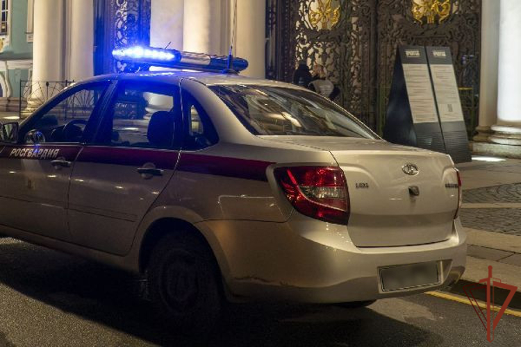 Росгвардейцы задержали посетителя Эрмитажа, повредившего экспонат XVIII века