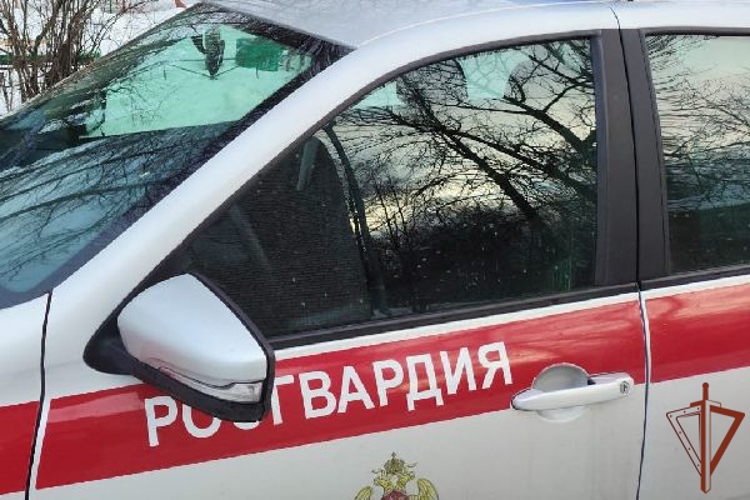 В Санкт-Петербурге росгвардейцы спасли вышедшего на лед ребенка и вернули его родителям