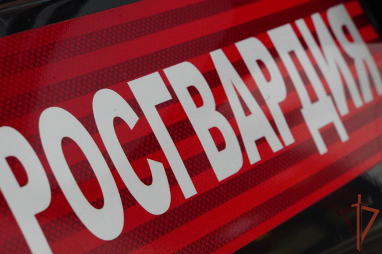 Росгвардейцы оказали помощь мужчине, потерявшему сознание в Москве (видео)
