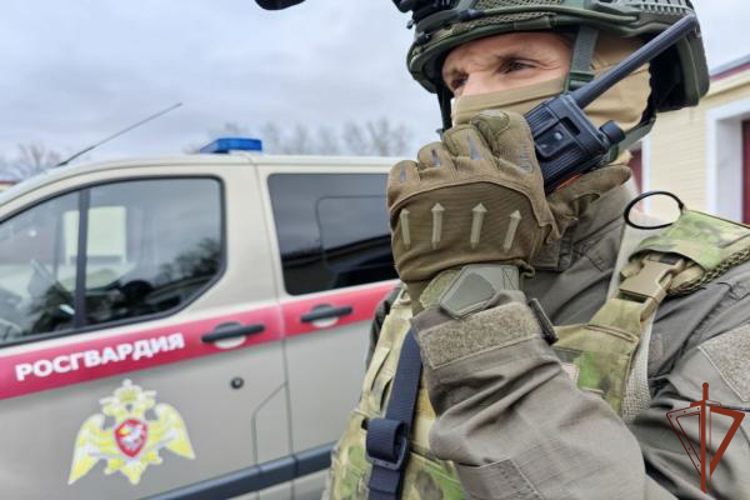 При силовой поддержке спецназа Росгвардии задержаны подозреваемые в мошенничестве в Туле (видео)
