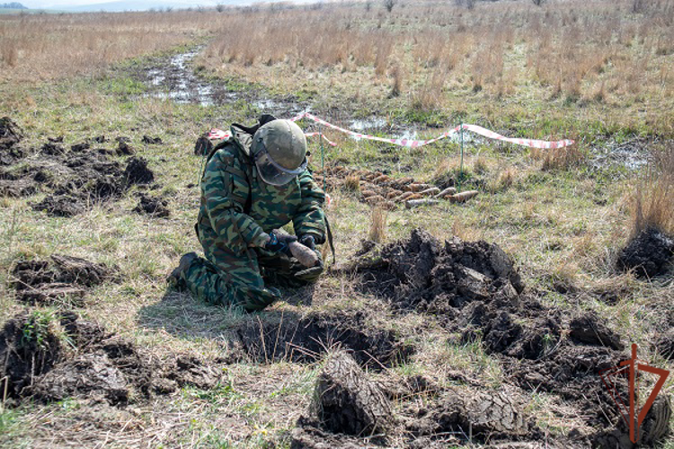 В Краснодарском крае взрывотехники Росгвардии уничтожили более 60 боеприпасов времен Великой Отечественной войны (видео)