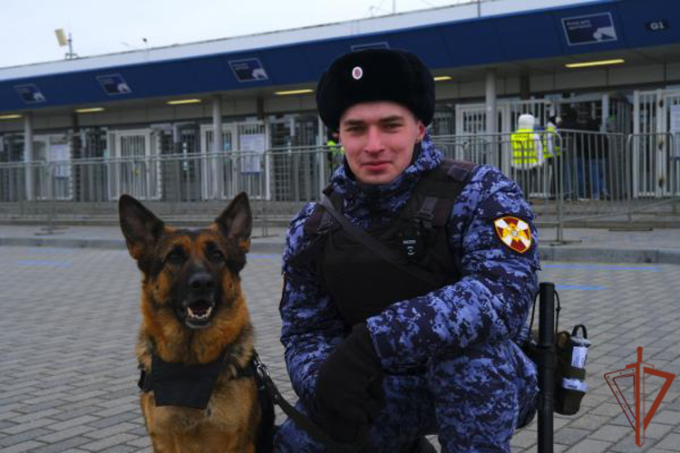 В Калининграде безопасность футбольного матча 24-го тура Первой лиги обеспечили росгвардейцы 