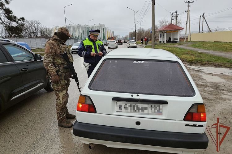 В Краснодарском крае прошла масштабная профилактическая операция при содействии сотрудников Росгвардии