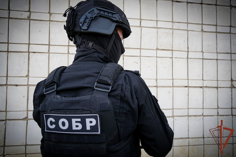 При содействии СОБР Росгвардии в Ульяновске задержан подозреваемый в крупной краже 