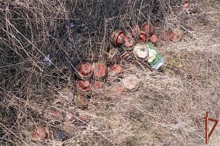Росгвардейцы обнаружили тайники ВСУ в Херсонской и Запорожской областях