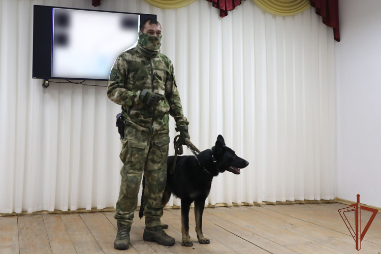 Офицеры Росгвардии рассказали школьникам из новых российских регионов о поступлении в ведомственные вузы (видео)
