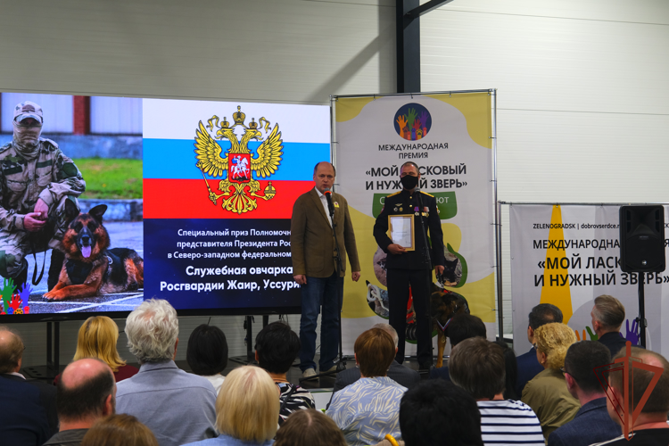 Служебная собака Росгвардии стала лауреатом Международной премии «Мой ласковый и нужный зверь» (видео)
