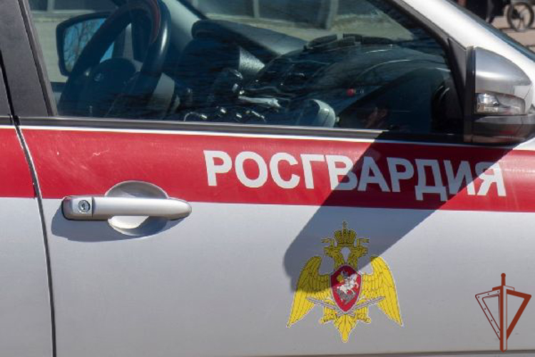 Сотрудники Росгвардии оказали помощь пострадавшему в ДТП в Ярославле