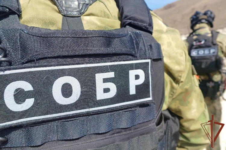 При  содействии СОБР Росгвардии в Карачаево-Черкесии задержан участник запрещённой экстремистской ячейки