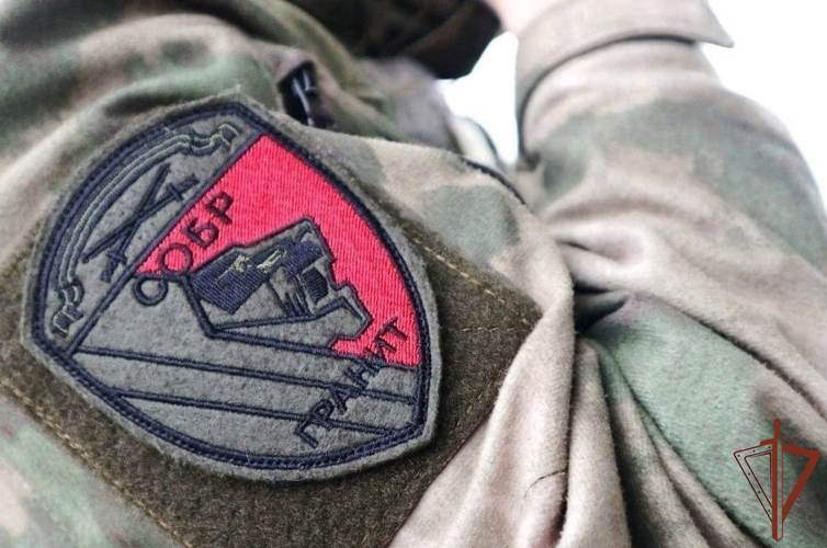 В Ленинградской области сотрудники СОБР Росгвардии задержали подозреваемого в тройном убийстве