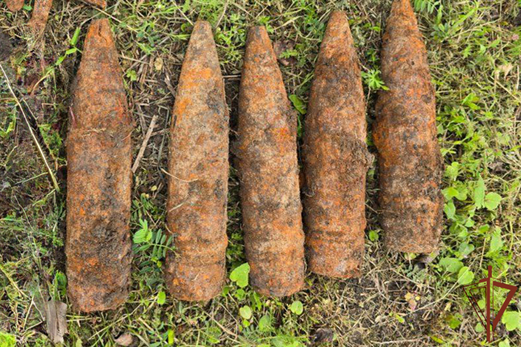 Более 40 боеприпасов времен Великой Отечественной войны уничтожили взрывотехники Росгвардии на Кубани
