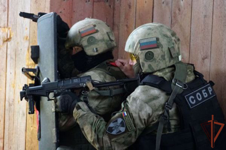 В Туле при силовой поддержке спецназа Росгвардии задержаны подозреваемые в похищении участника СВО (видео)