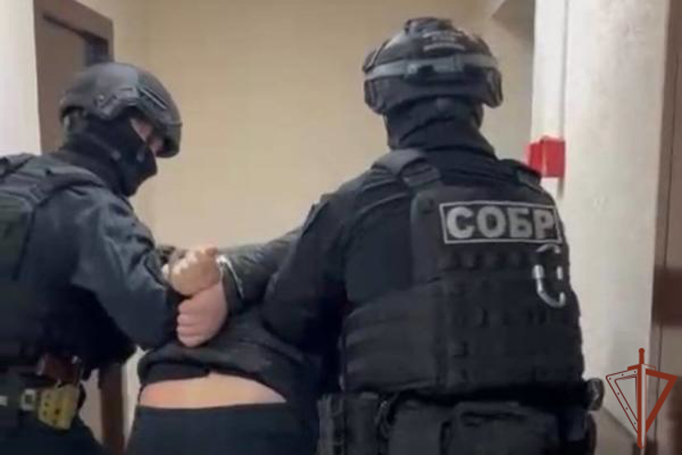 Подозреваемого в государственной измене задержали при содействии Росгвардии в Севастополе