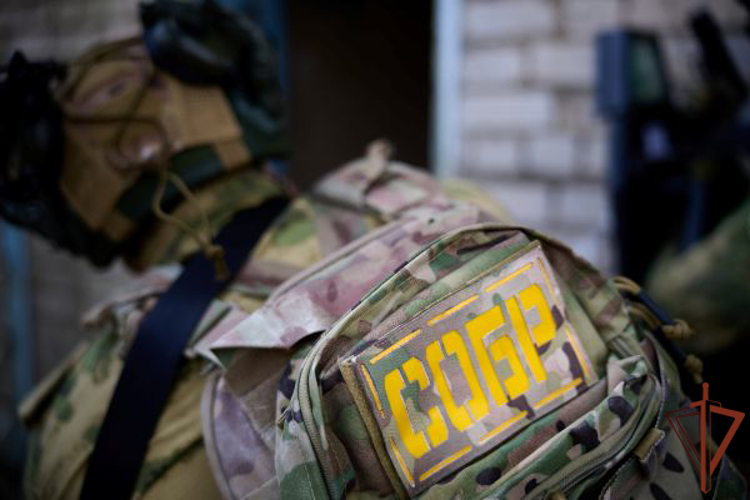 Спецназ Росгвардии задержал подозреваемого в нанесении ножевого ранения в ДНР
