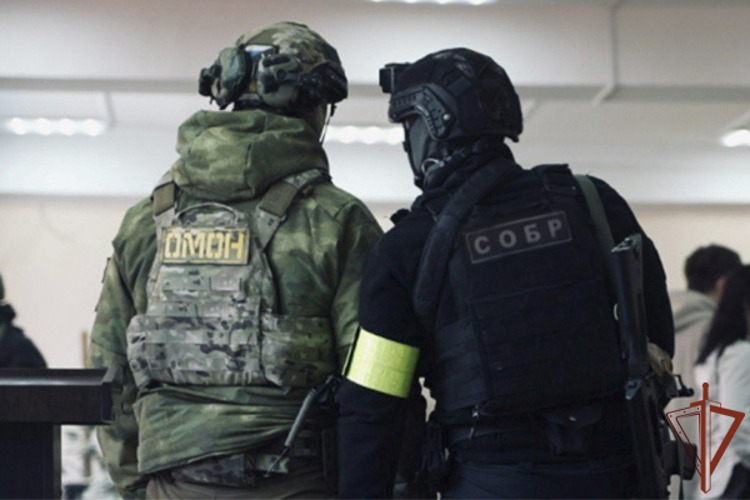 Подозреваемые в изготовлении поддельных документов задержаны на Камчатке при содействии спецназа Росгвардии 
