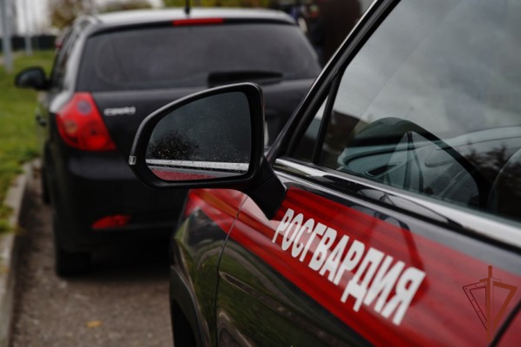 Росгвардейцы задержали в Москве подозреваемых в разбое (видео)