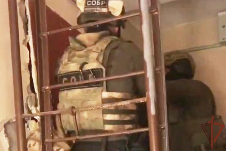 В Санкт-Петербурге при содействии СОБР Росгвардии задержан подозреваемый в оправдании и пропаганде терроризма (видео)
