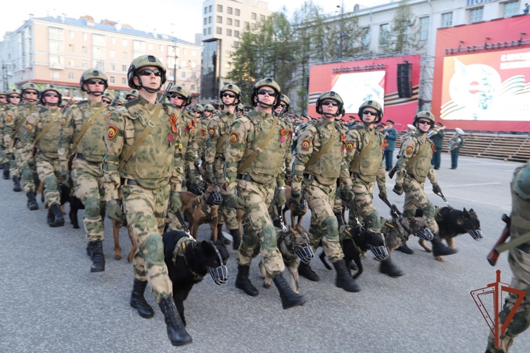 Кинологи Росгвардии со служебными собаками стали участниками парада в честь 80-летия Великой Победы