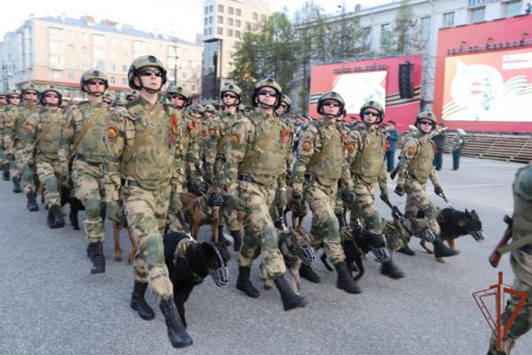 Парады в честь 80-летия Великой Победы прошли по всей стране с участием росгвардейцев (видео)