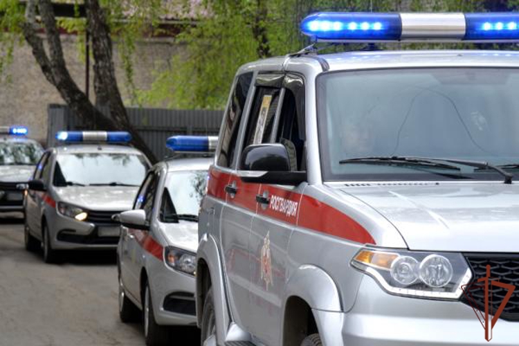 Росгвардия поддержала акцию «Бессмертный автополк» в Кургане и Екатеринбурге (видео)