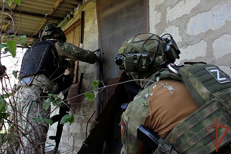 Тайник с оружием в доме боевика ВСУ в Запорожской области обнаружил спецназ Росгвардии (видео)