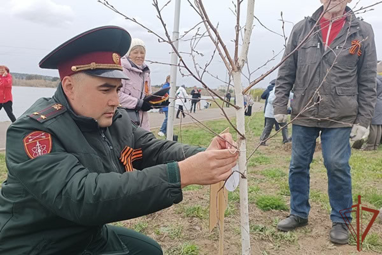 Мероприятия, приуроченные к 80-летию со Дня Великой Победы, поддержали росгвардейцы в Сибири