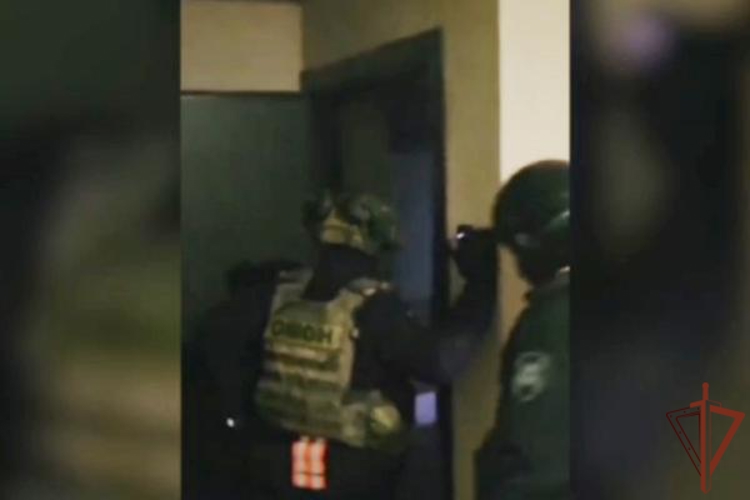 При силовой поддержке ОМОН Росгвардии в Санкт-Петербурге задержаны пособники зарубежных телефонных мошенников (видео)