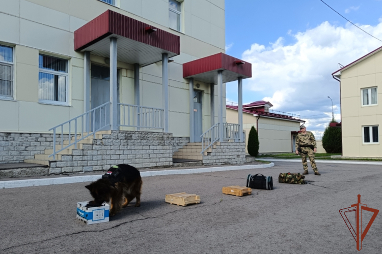 В Центральной России росгвардейцы проводят познавательные мероприятия для детей