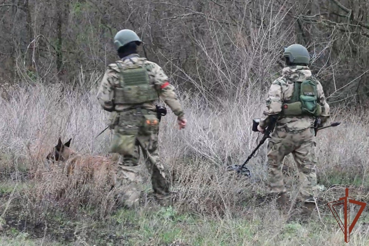 Более 70 кг взрывчатки обнаружили росгвардейцы в замаскированном схроне в ЛНР (видео)