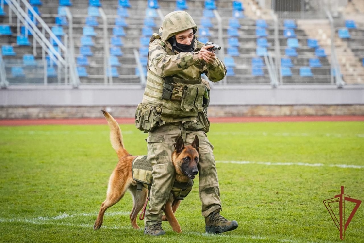 В Росгвардии наградили победителей Международного турнира по регби-7 (видео)