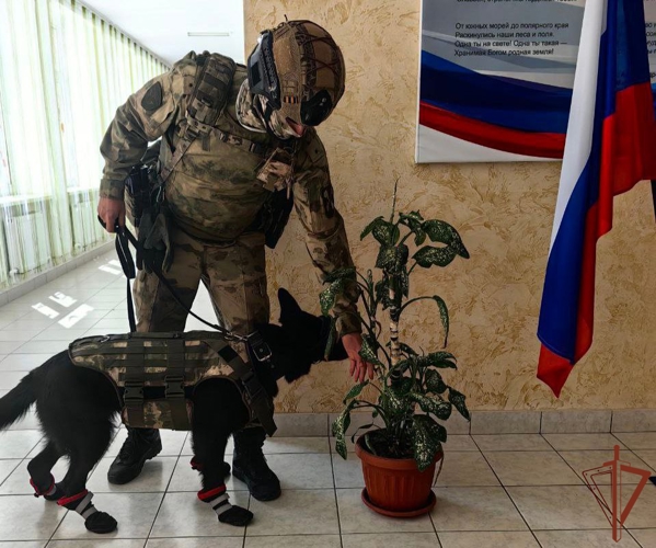 Росгвардейцы обеспечили безопасность последних звонков более чем в 200 школах Луганской Народной Республики