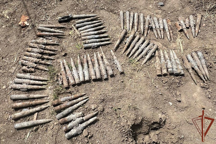 Взрывотехники Росгвардии в Краснодарском крае обезвредили 70 боеприпасов времен Великой Отечественной войны (видео)