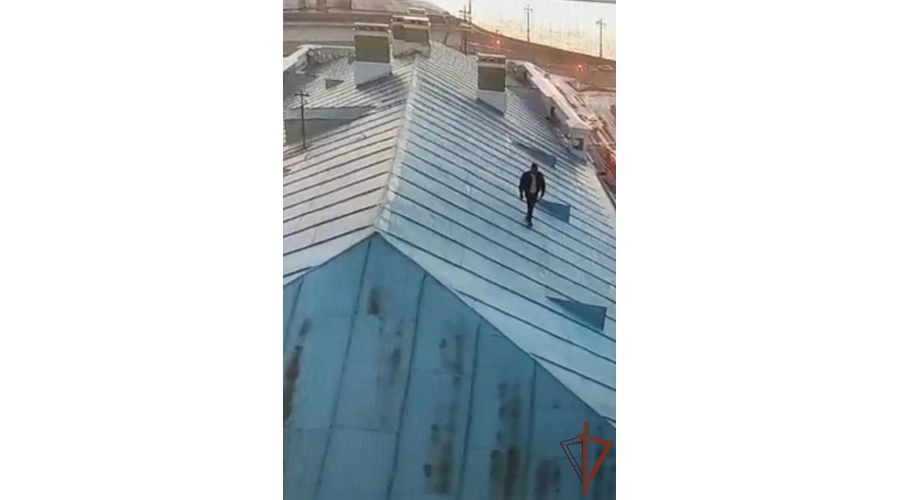 В Санкт-Петербурге росгвардейцы задержали хулигана, проникшего на крышу Кунсткамеры (видео)