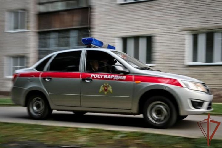 Подозреваемую в совершении противоправного деяния в Красноярском крае задержали росгвардейцы