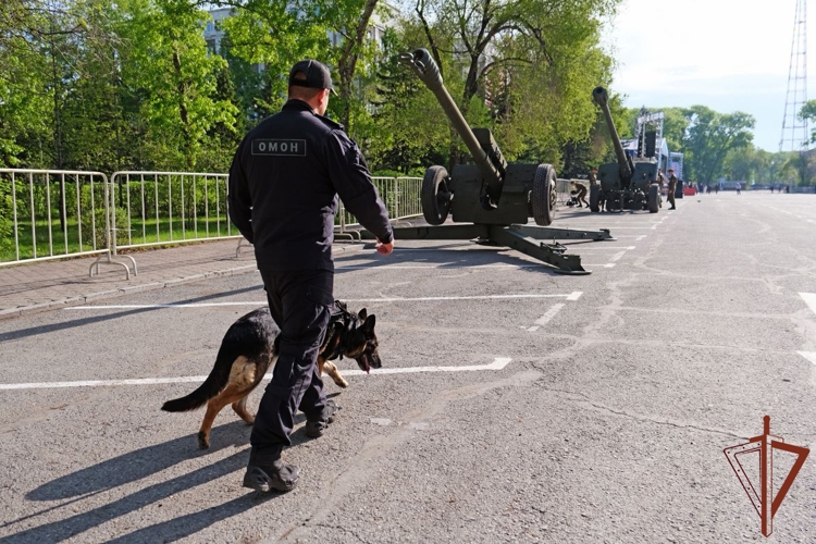 Правопорядок в День Великой Победы обеспечили росгвардейцы в Сибирском федеральном округе