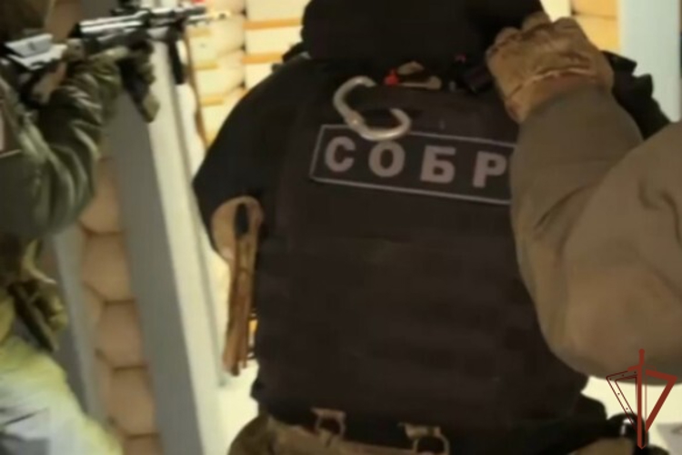 В Ярославле при силовой поддержке спецназа Росгвардии ликвидирована нарколаборатория 