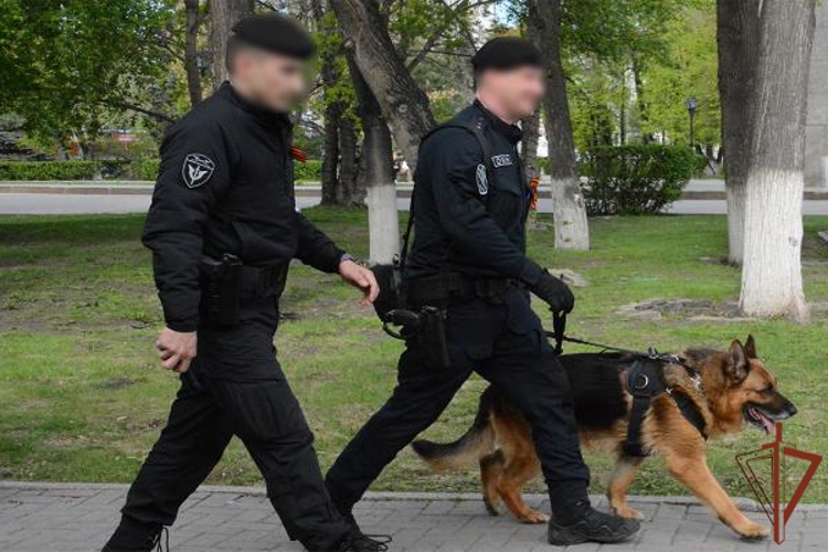 Правопорядок на футбольных матчах Первой лиги в Екатеринбурге и Тюмени обеспечили росгвардейцы